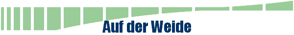 Auf der Weide