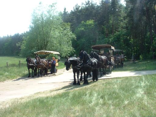 Pferdekutschen