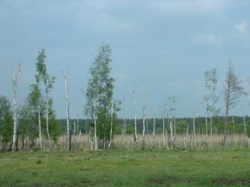 Teufelsbruch